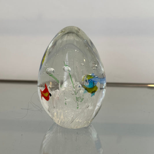 Huevo de cristal con peces tropicales
